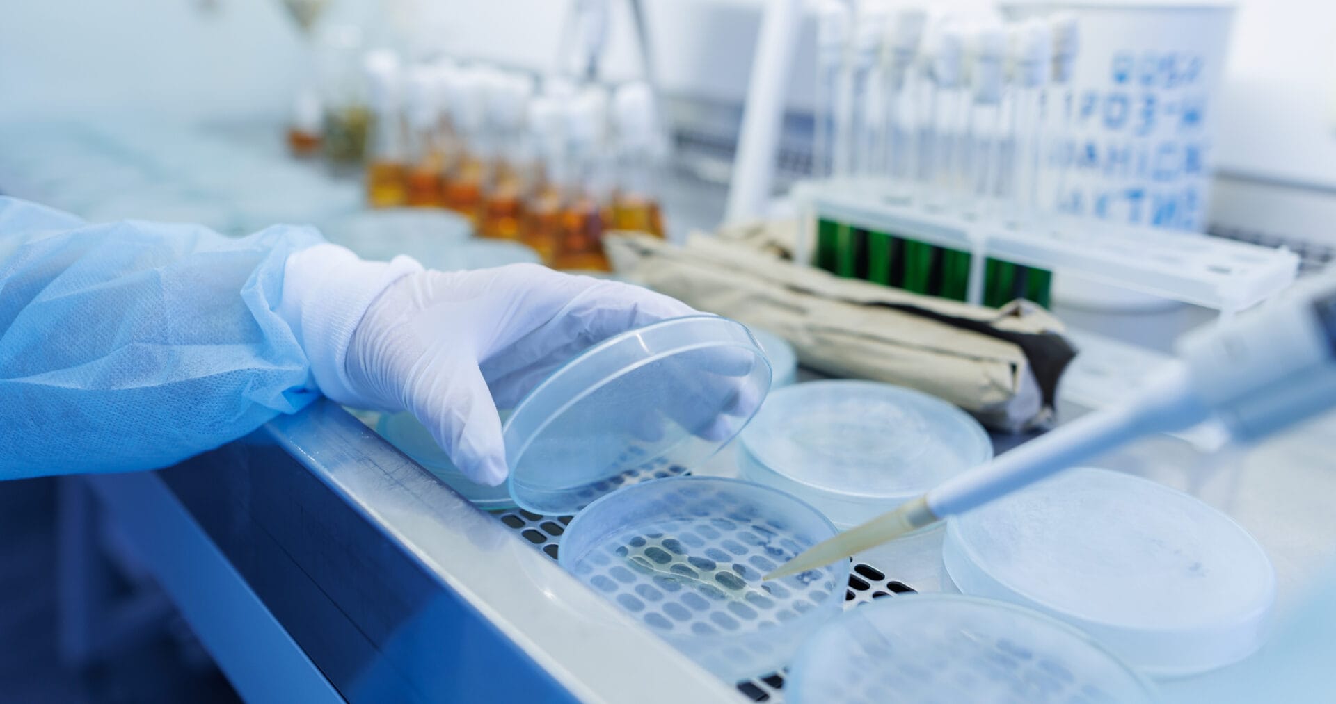 A gloved hand holds a petri dish while another hand uses a pipette in a laboratory setting with bottles and test tubes in the background.